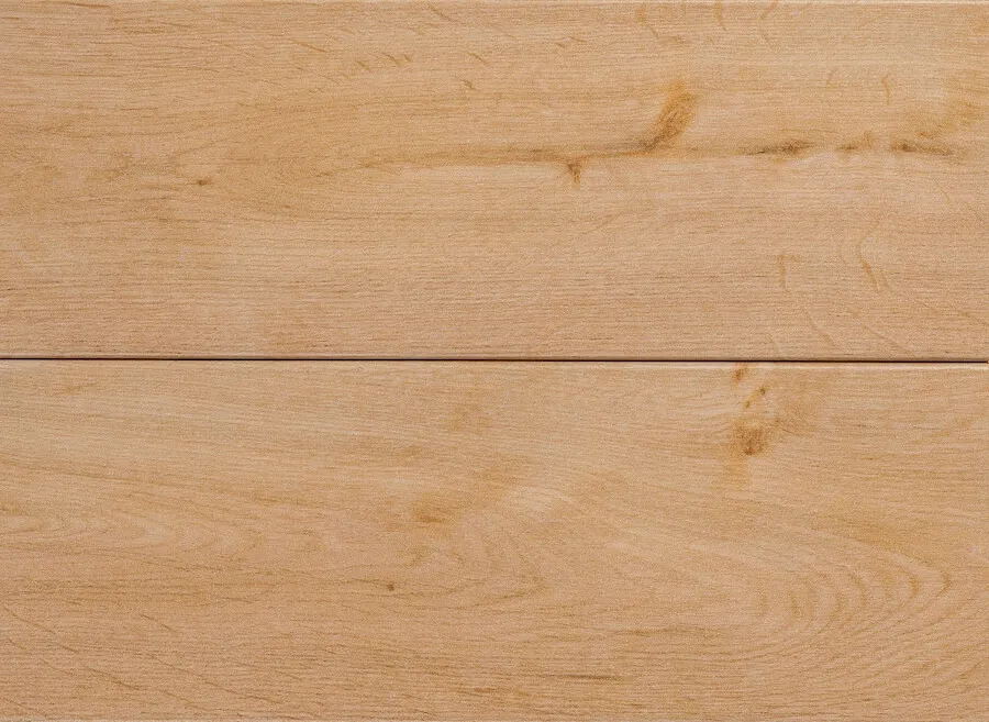 Акация Белая — White Acacia